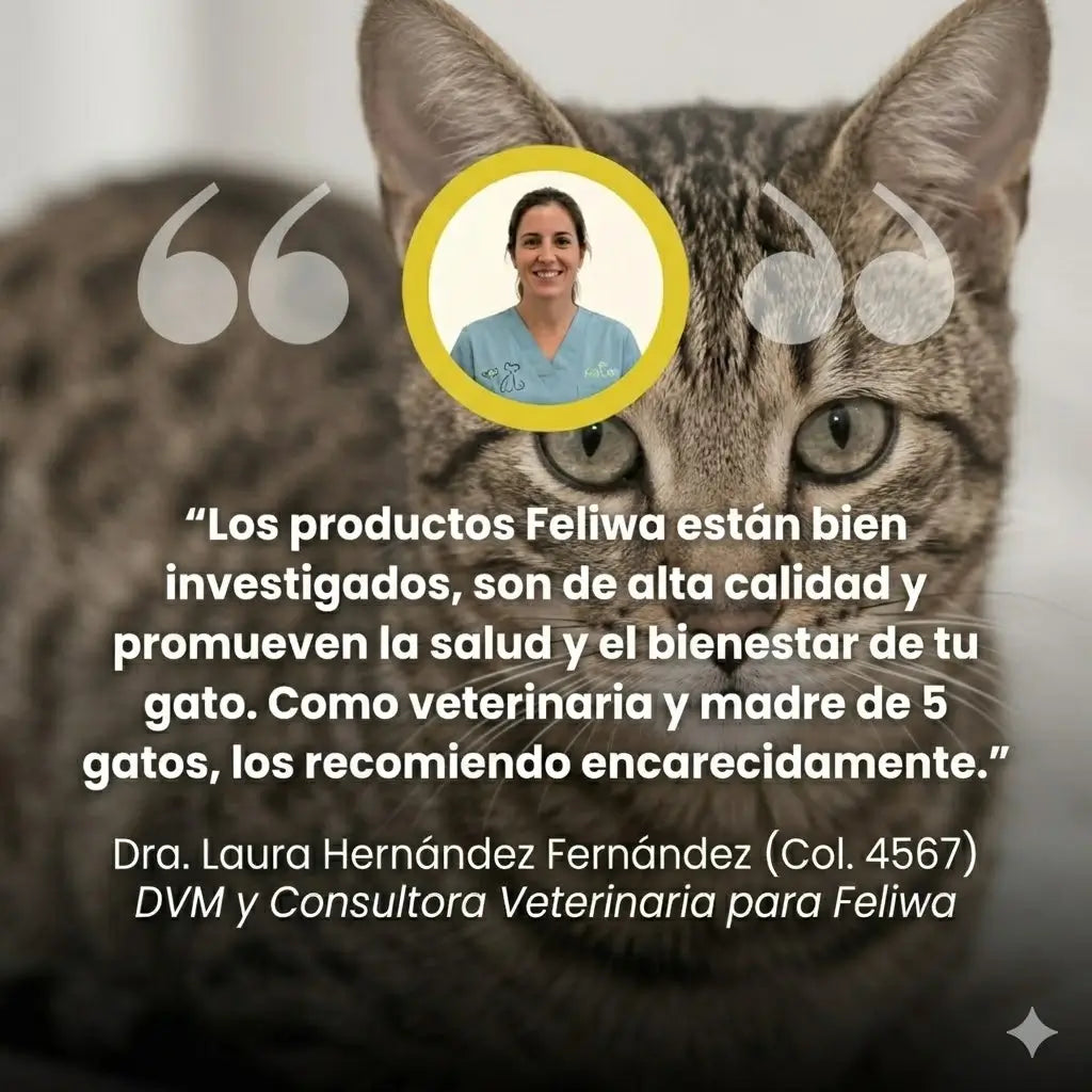 Fuente de Agua para Gatos Feliwa - 2.2L Acero Inoxidable