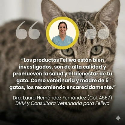 Fuente de Agua para Gatos Feliwa - 2.2L Acero Inoxidable